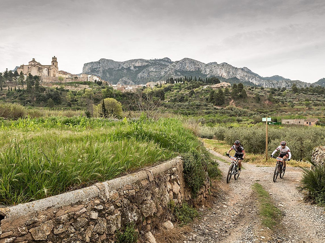 Tivissa旅游攻略图片