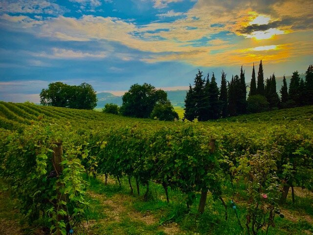 Mezzane di Sotto旅游攻略图片