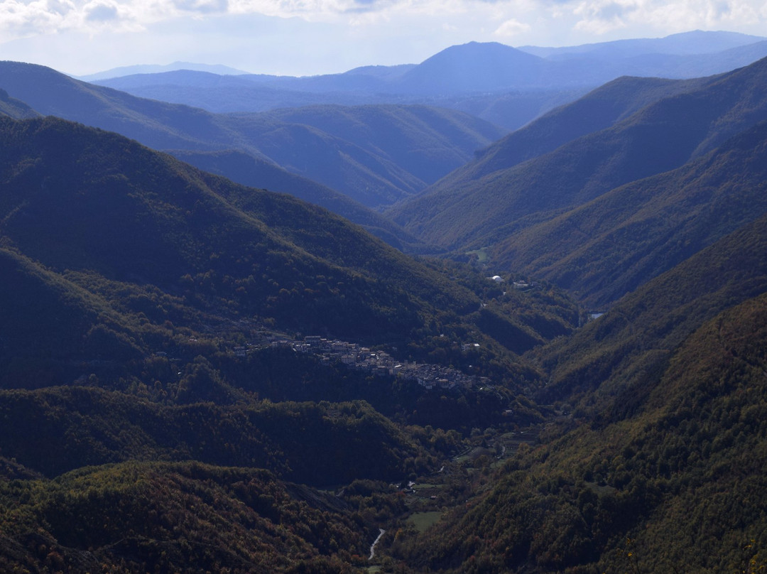 Jenne旅游攻略图片