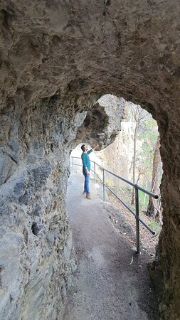 Lamington National Park景点图片