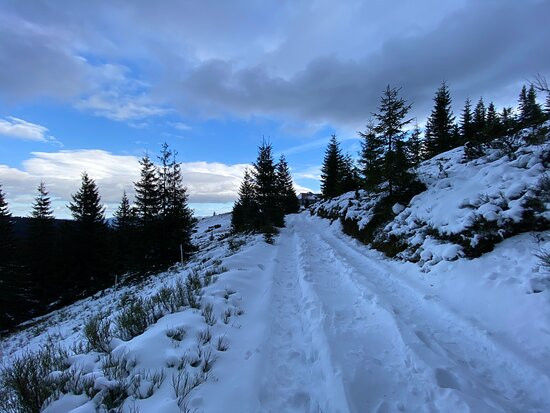 Mount Hoverla-Vorokhta必去景点