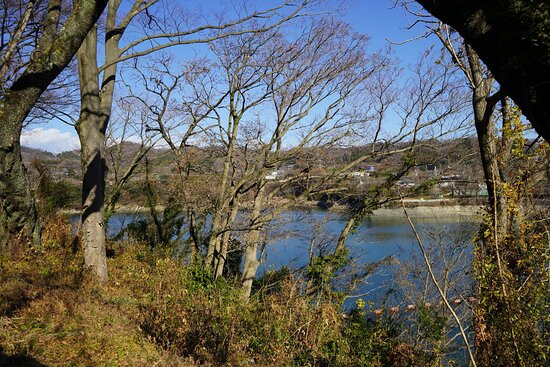 Tsukuiko Visitor Center-相模原市必去景点