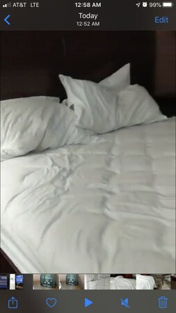 泰勒希尔顿花园酒店主图