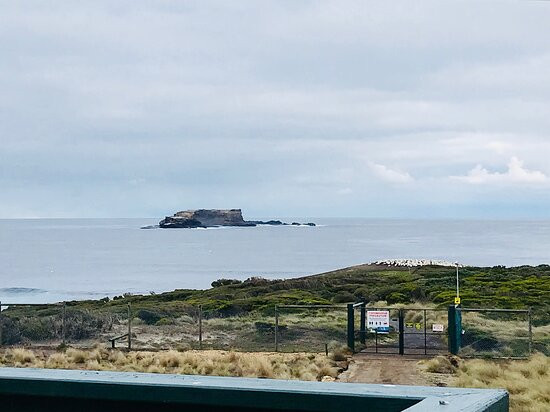 Point Danger Gannet Colony-波特兰必去景点
