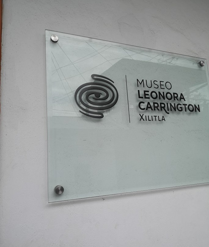 Museo Leonora Carrington景点图片