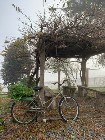 Afeto Pousada e Parador主图