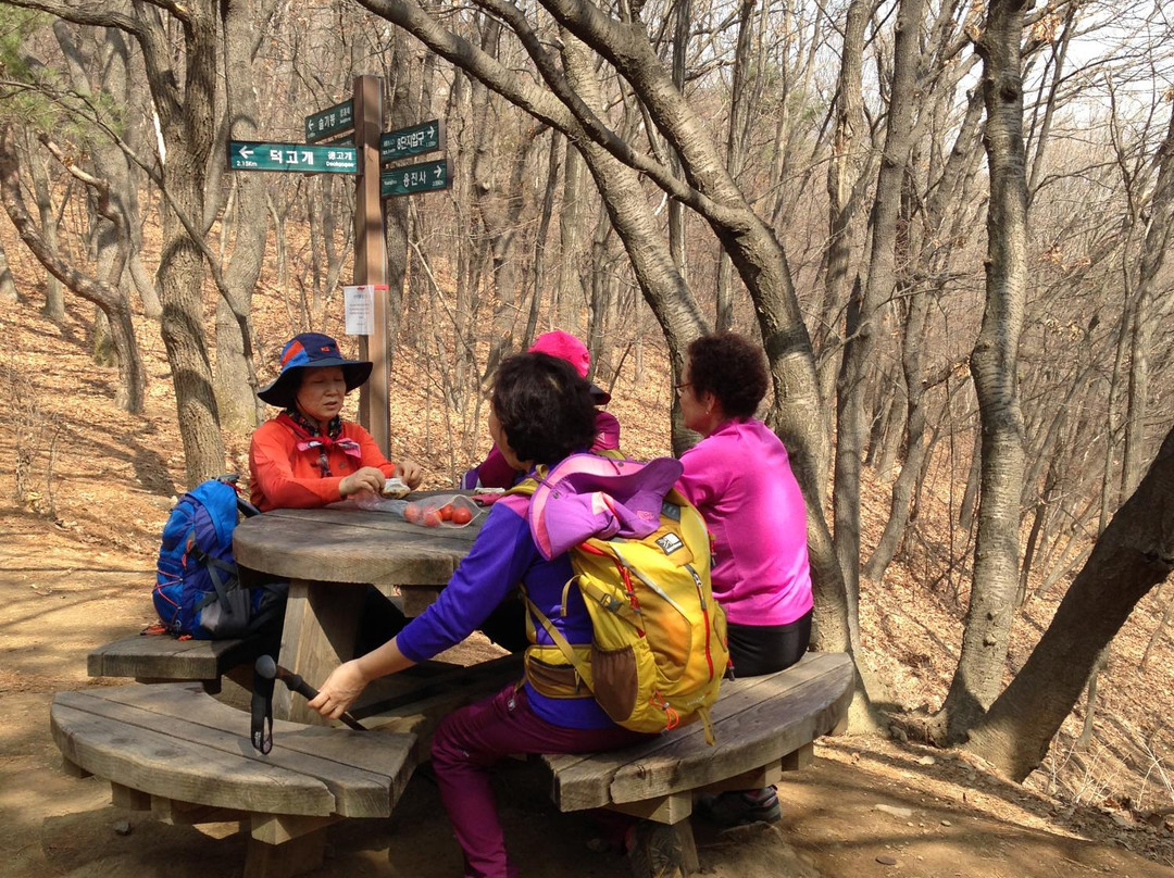 Surisan Land-军浦市必去景点