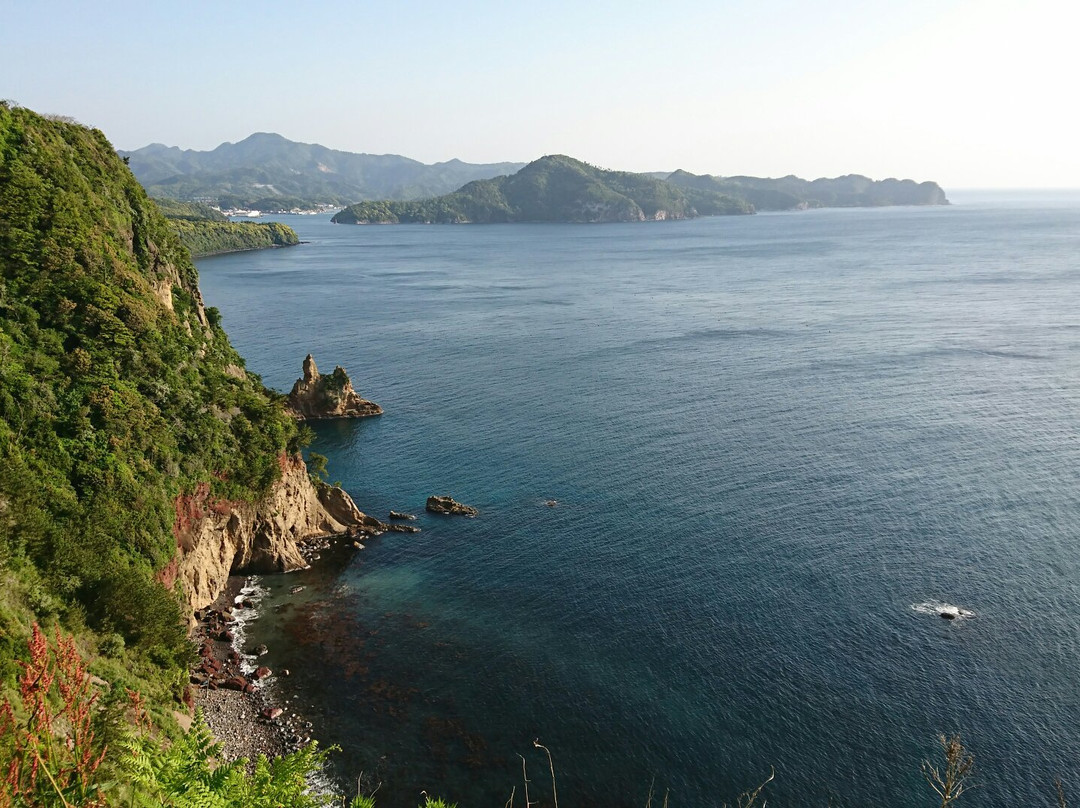 Saigo Cape Lighthouse景点图片