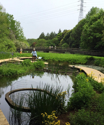 Tsukuba Botanical Garden景点门票图片