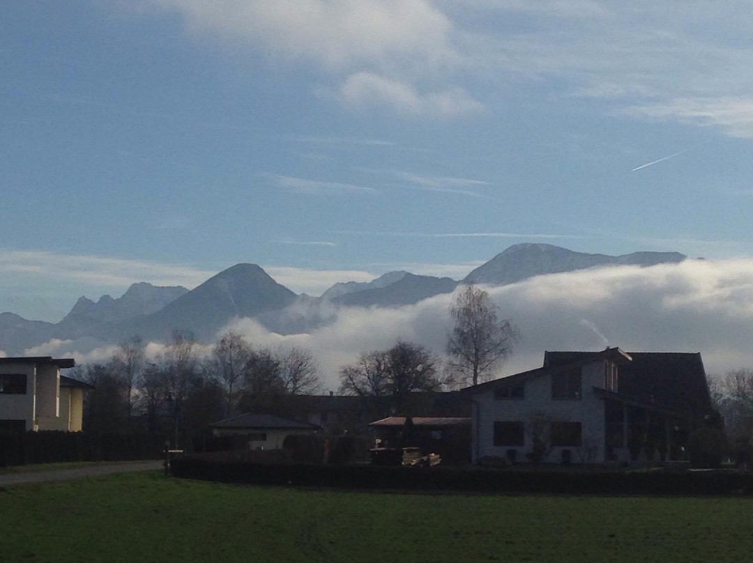 Sankt Jakob im Rosental餐馆和美食-Landhotel Drauhof