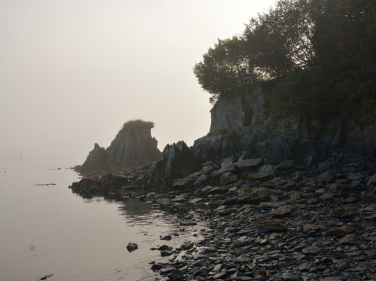 Kodiak旅游攻略图片