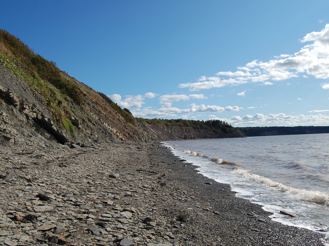 Joggins Fossil Cliffs And Centre