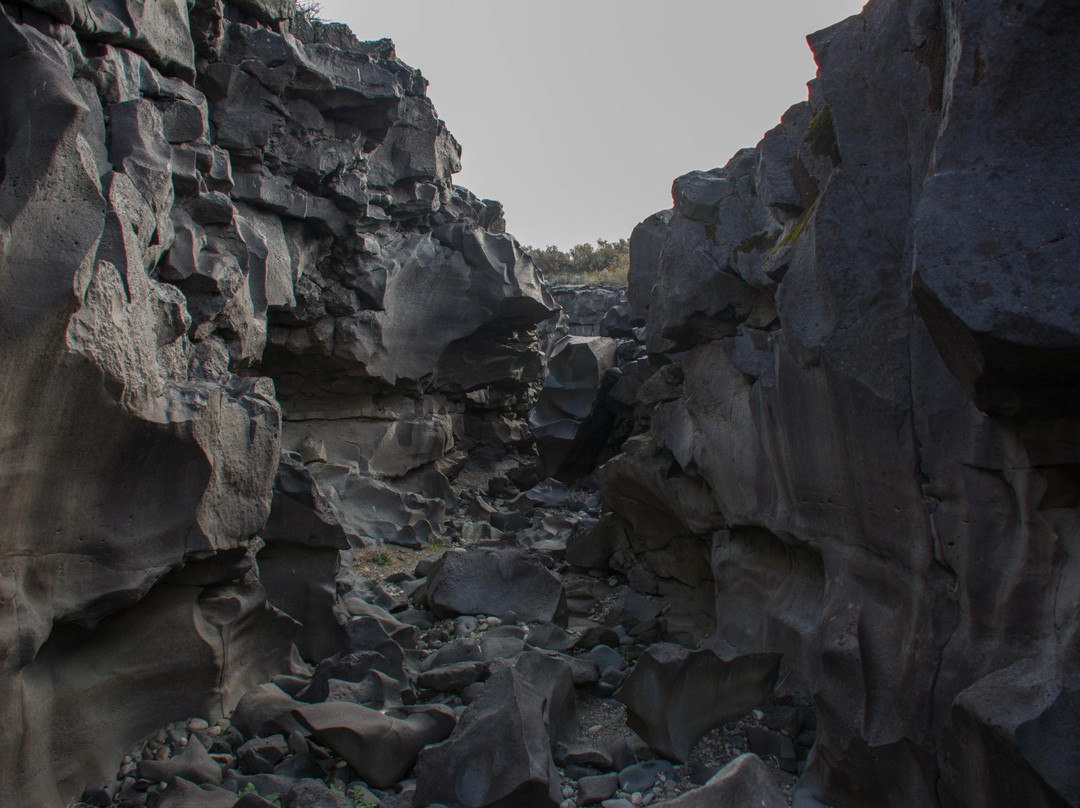 Shoshone旅游攻略图片