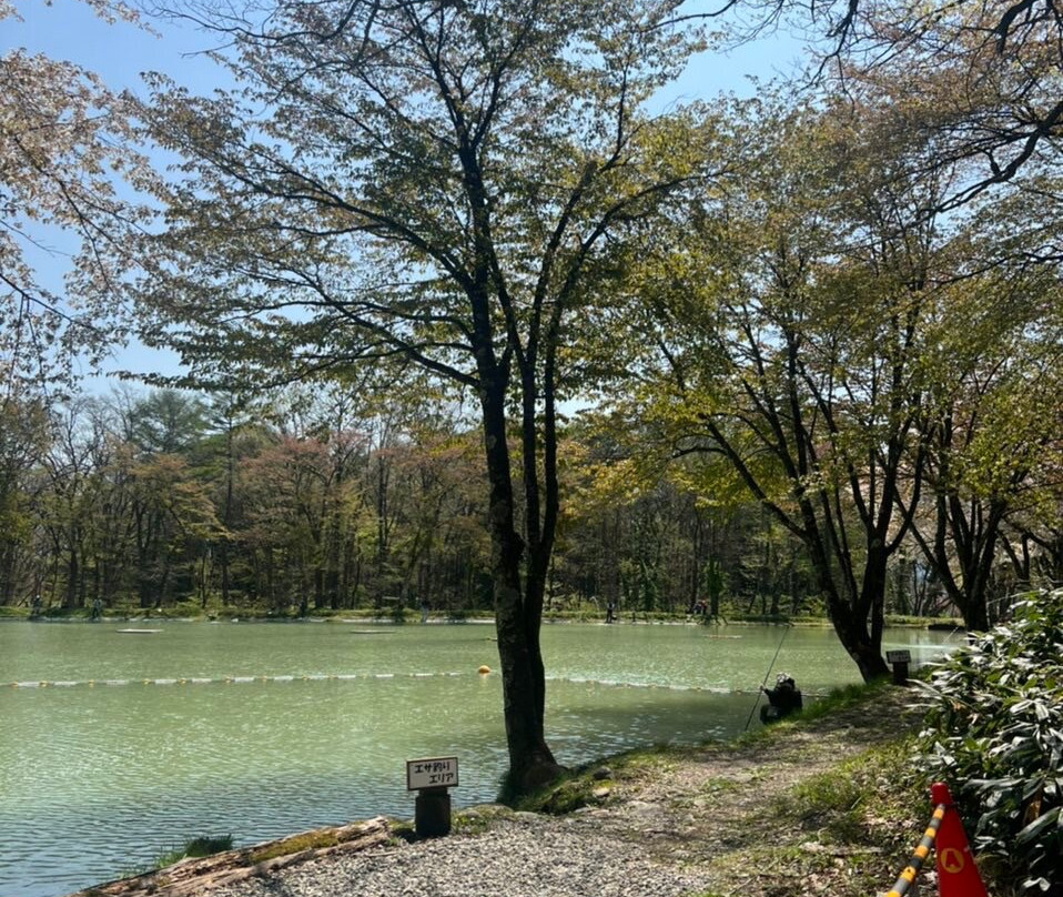 Hakuba Happo Nire Pond Fishing Center景点图片
