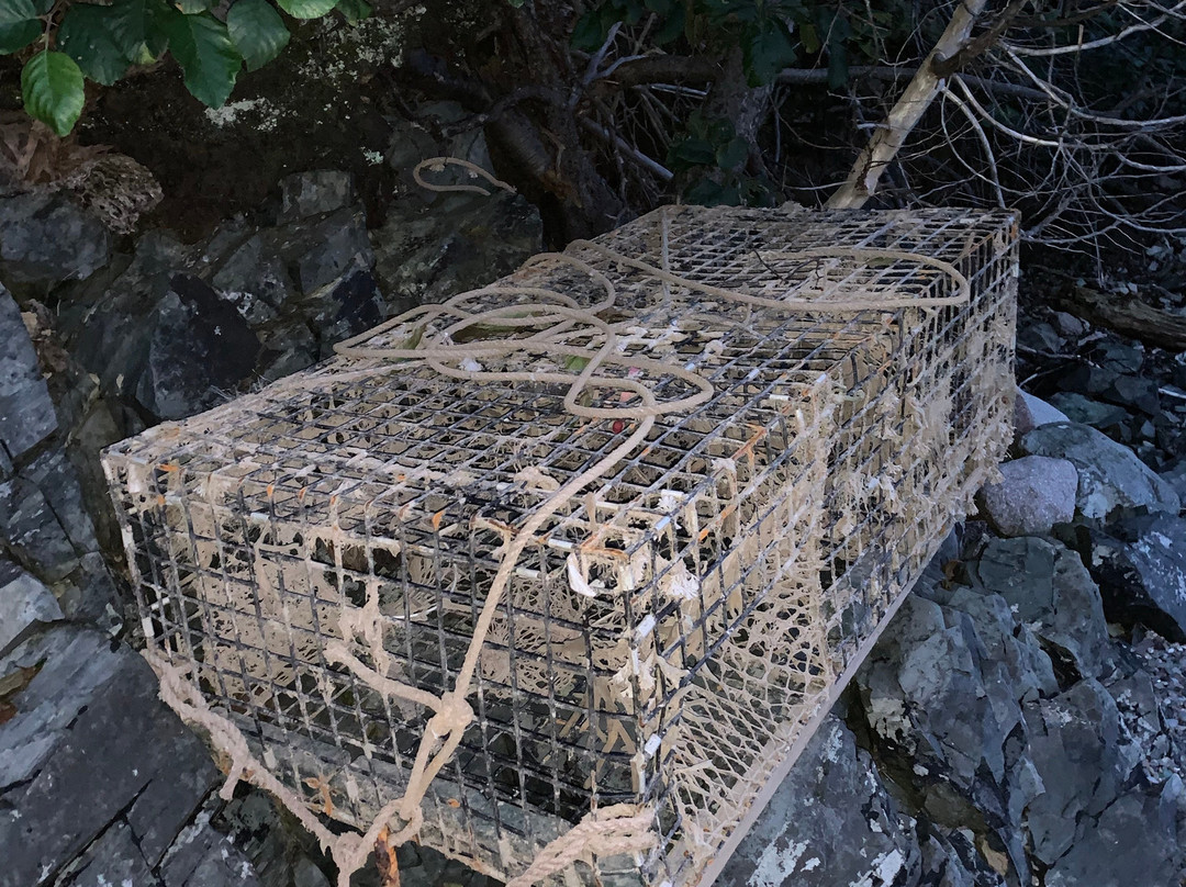 Robbinston旅游攻略图片