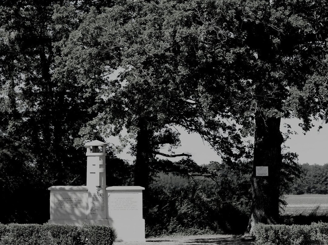 Monument De Mellecey景点图片