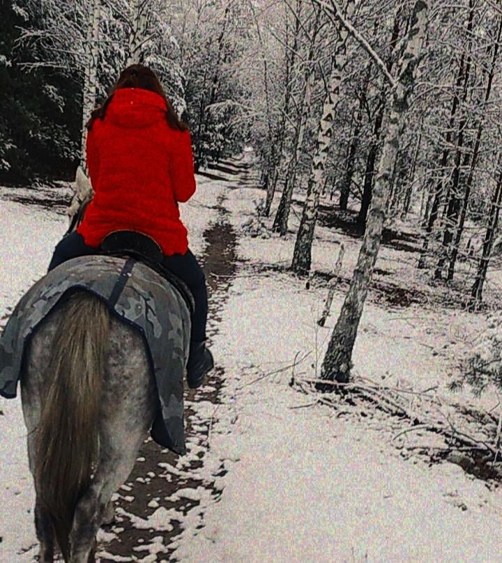 Agro-Estate Horse Island景点图片
