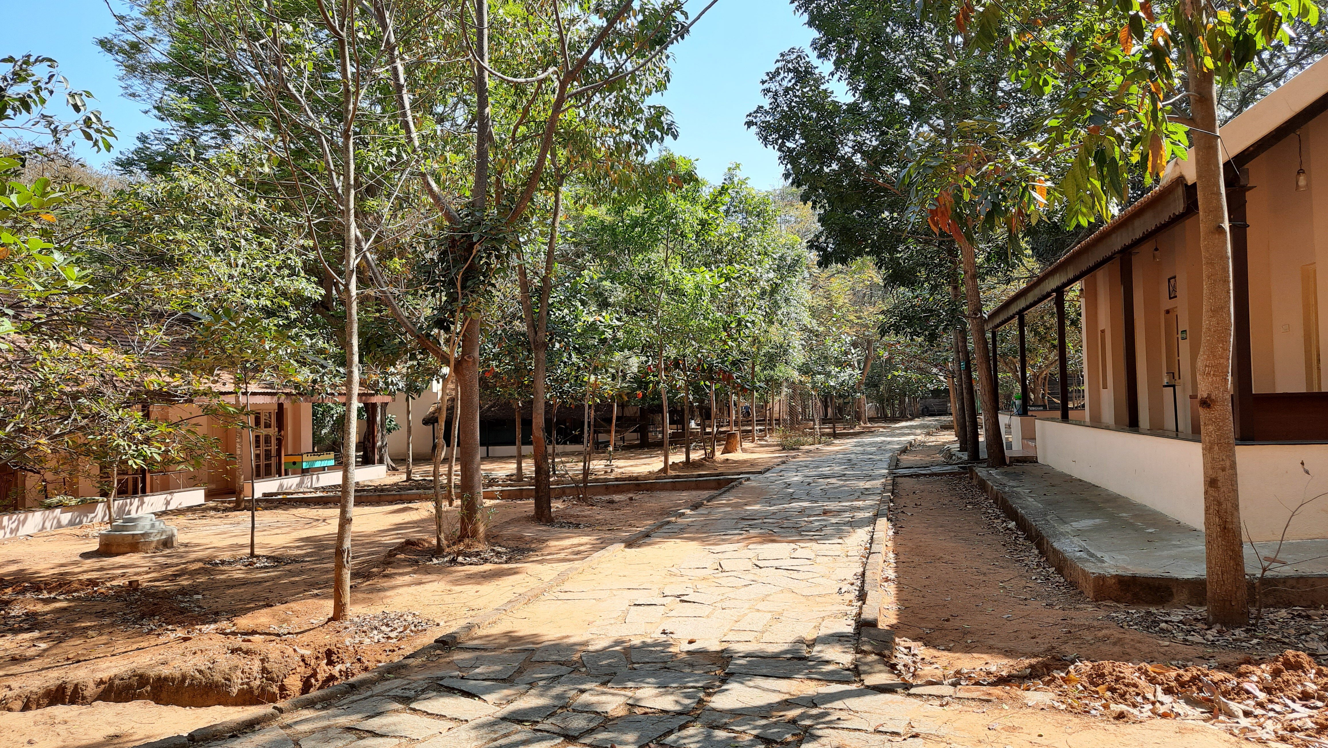 班纳加塔自然营舍-丛林小屋-浴室