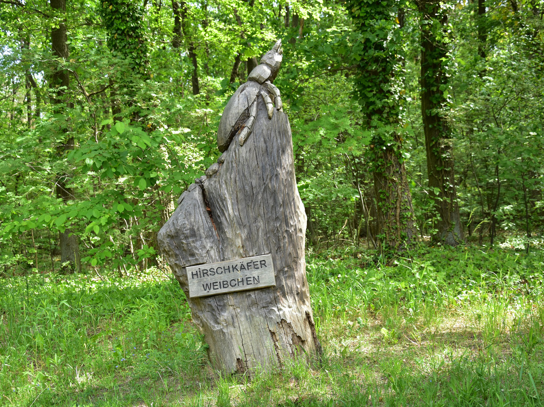 Skulpturen Hirschkäfer景点图片