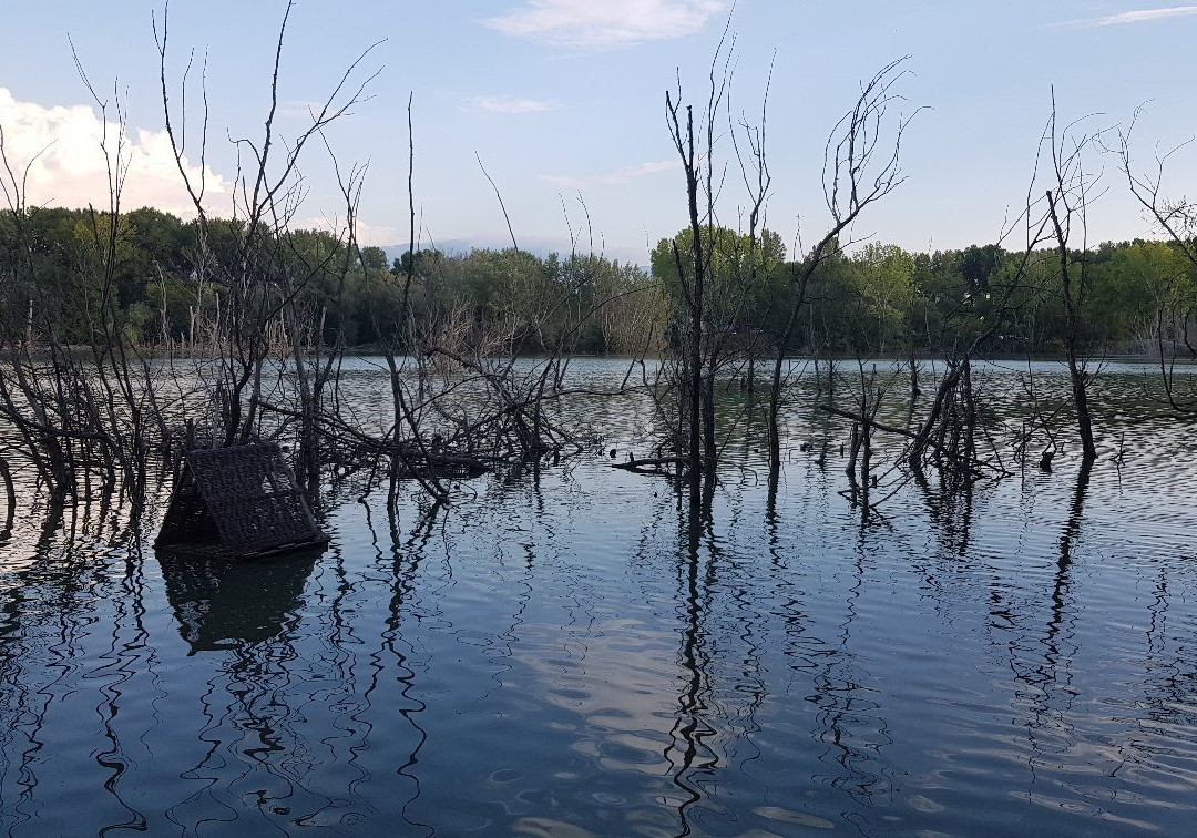 Oasi Vivinatura Lagosele景点图片