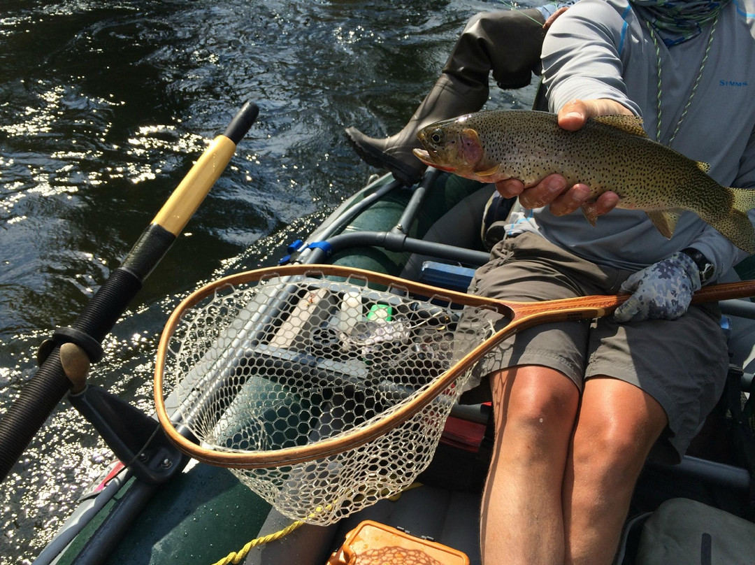 Montana Trout Outfitters - Day Tours景点图片