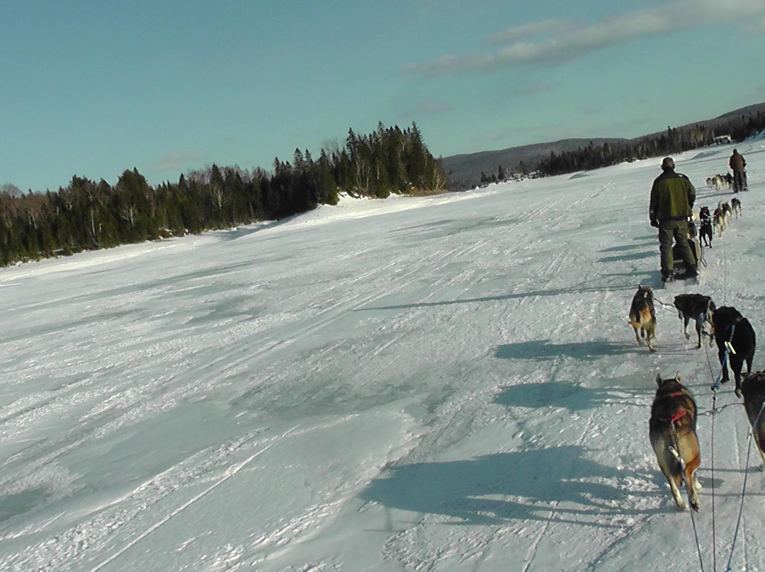 Expéditions Hautes-Laurentides-Riviere-Rouge必去景点