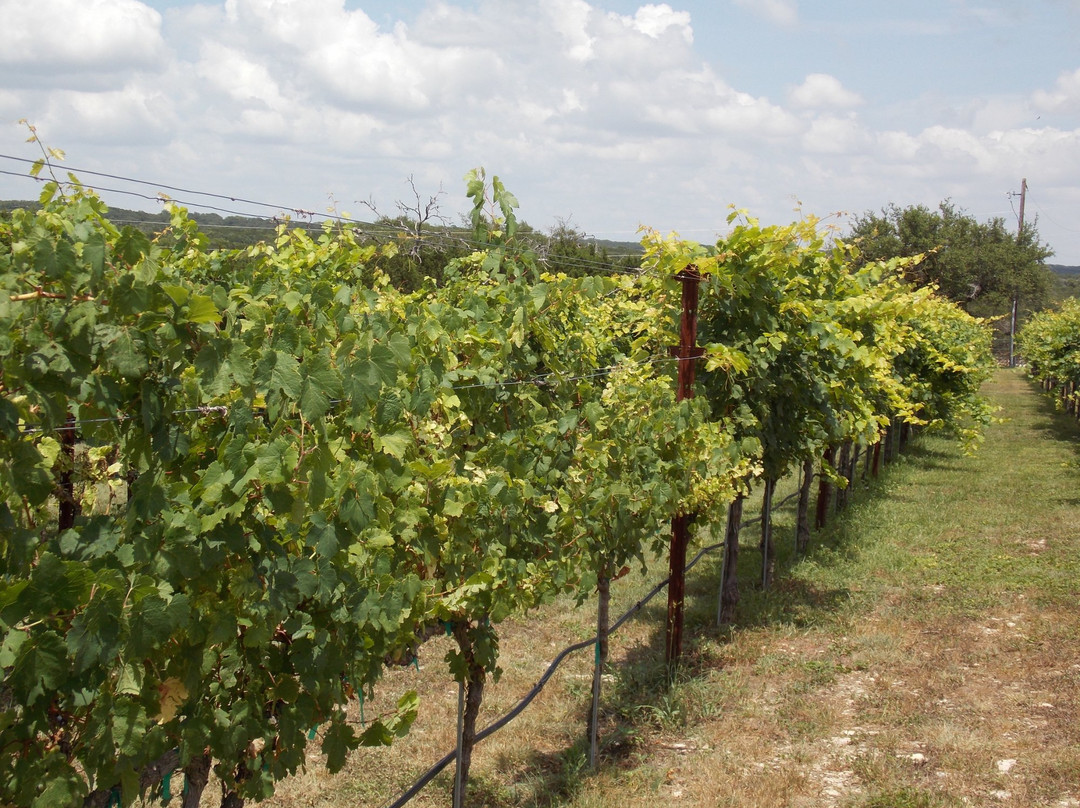 Wimberley旅游景点-Bella Vista Ranch