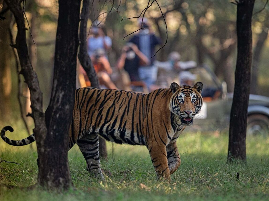 Ansari Tour And Travels