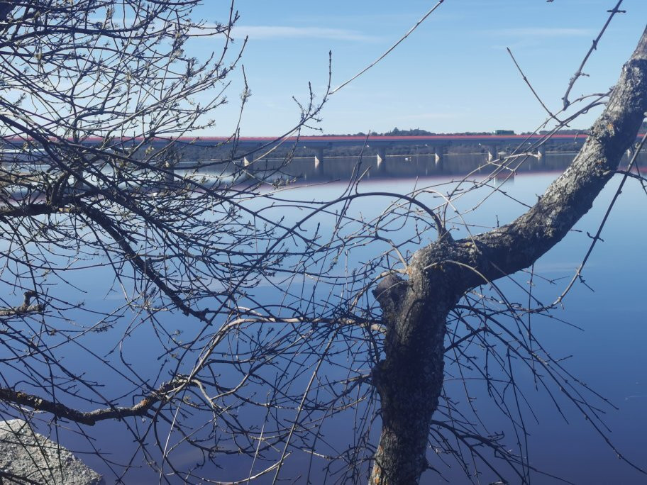 Embalse de Valmayor-Colmenarejo必去景点