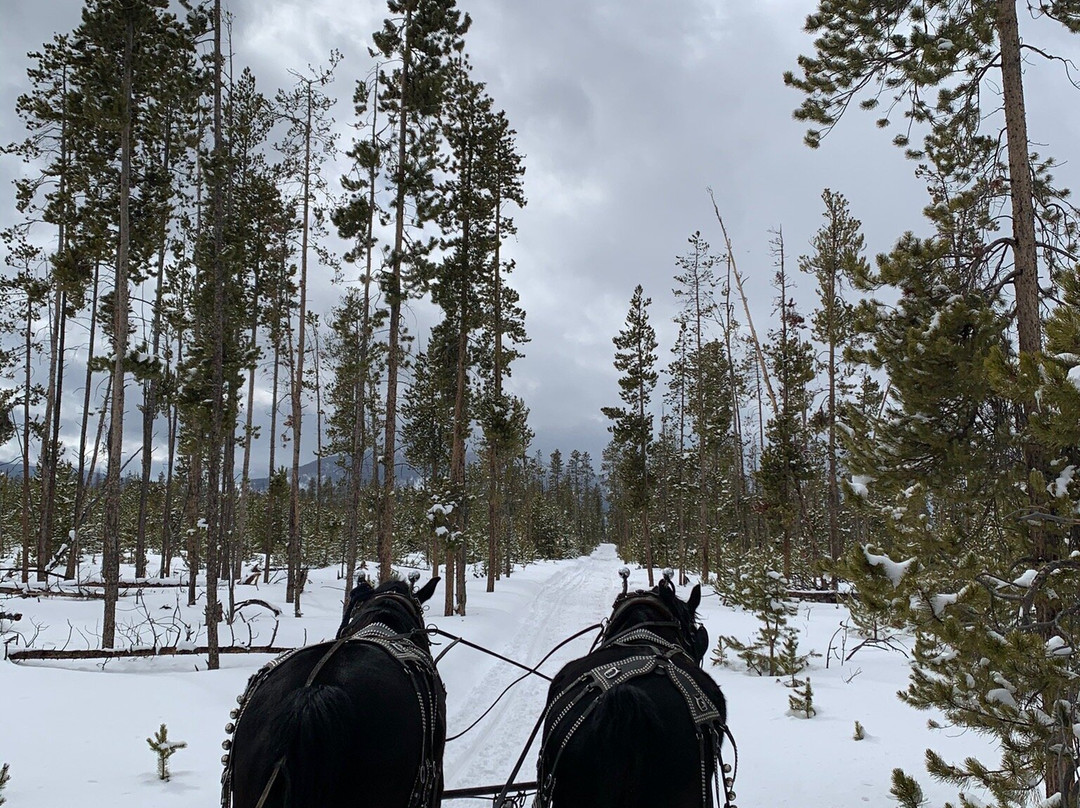 Dashing Thru The Snow-Fraser必去景点
