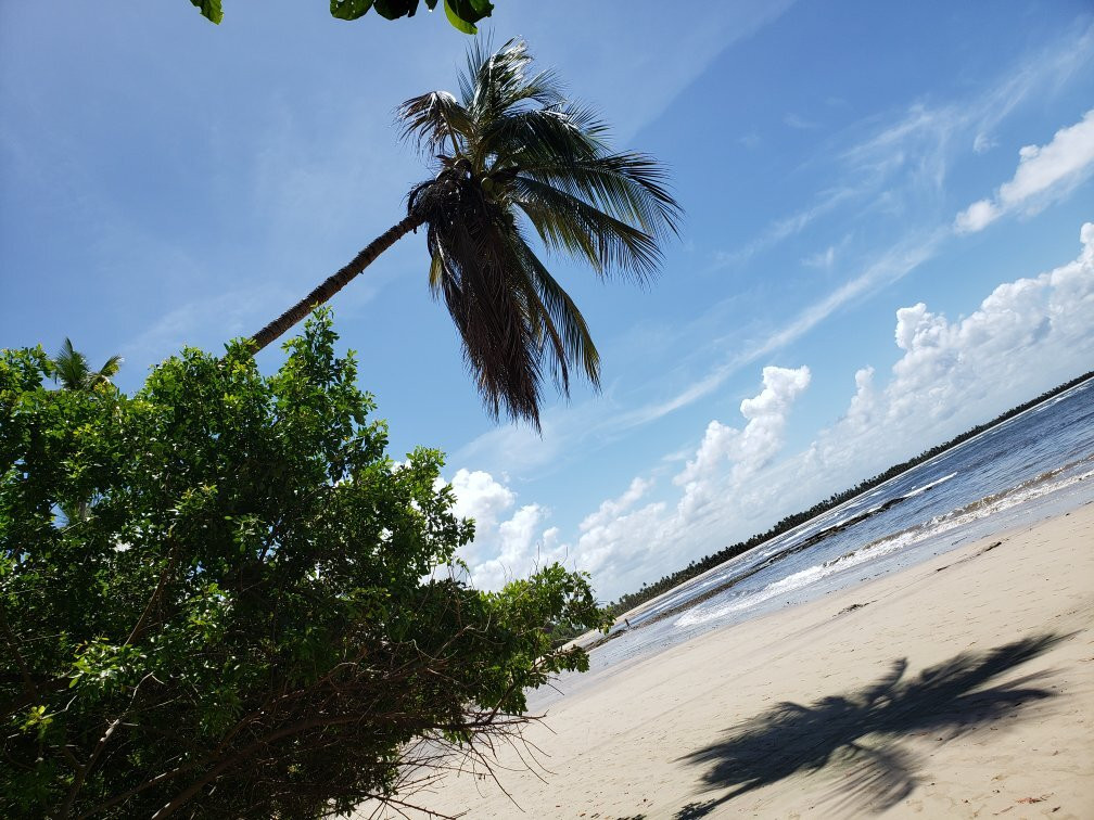 Tassimirim Beach-Ilha de Boipeba必去景点