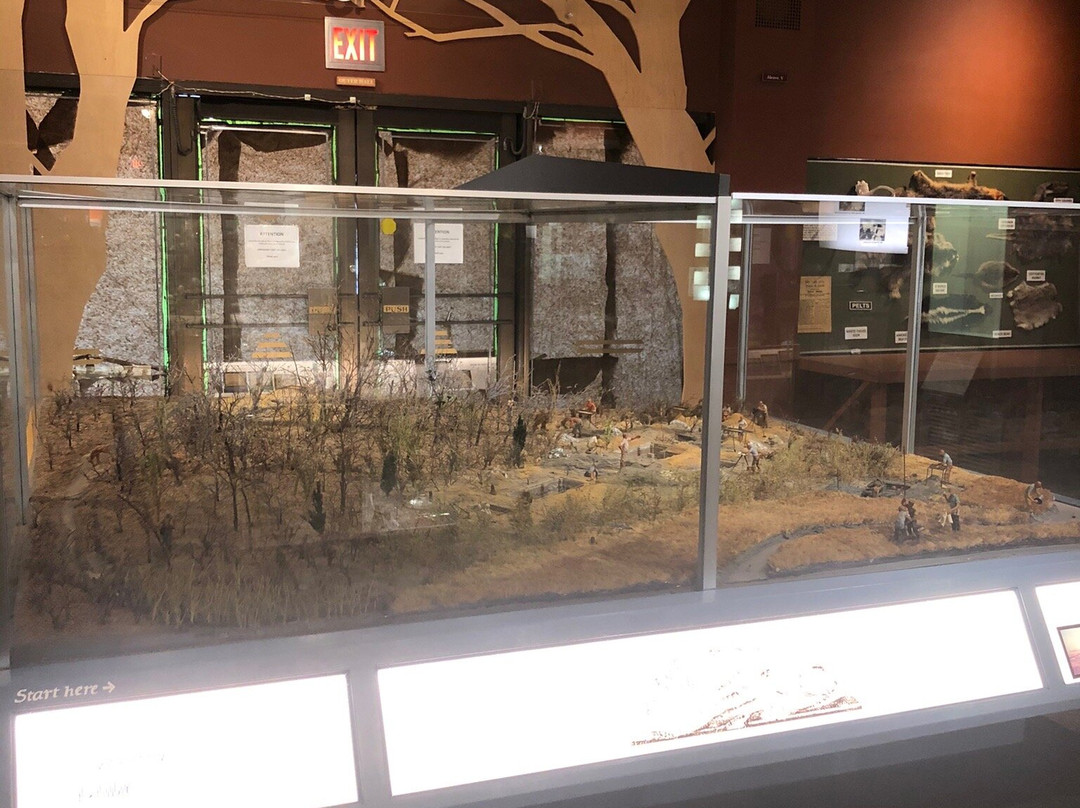 Garvies Point Museum and Preserve景点图片