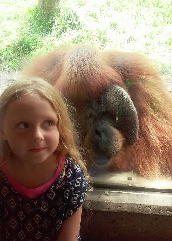圣路易斯动物园-圣路易斯必去景点