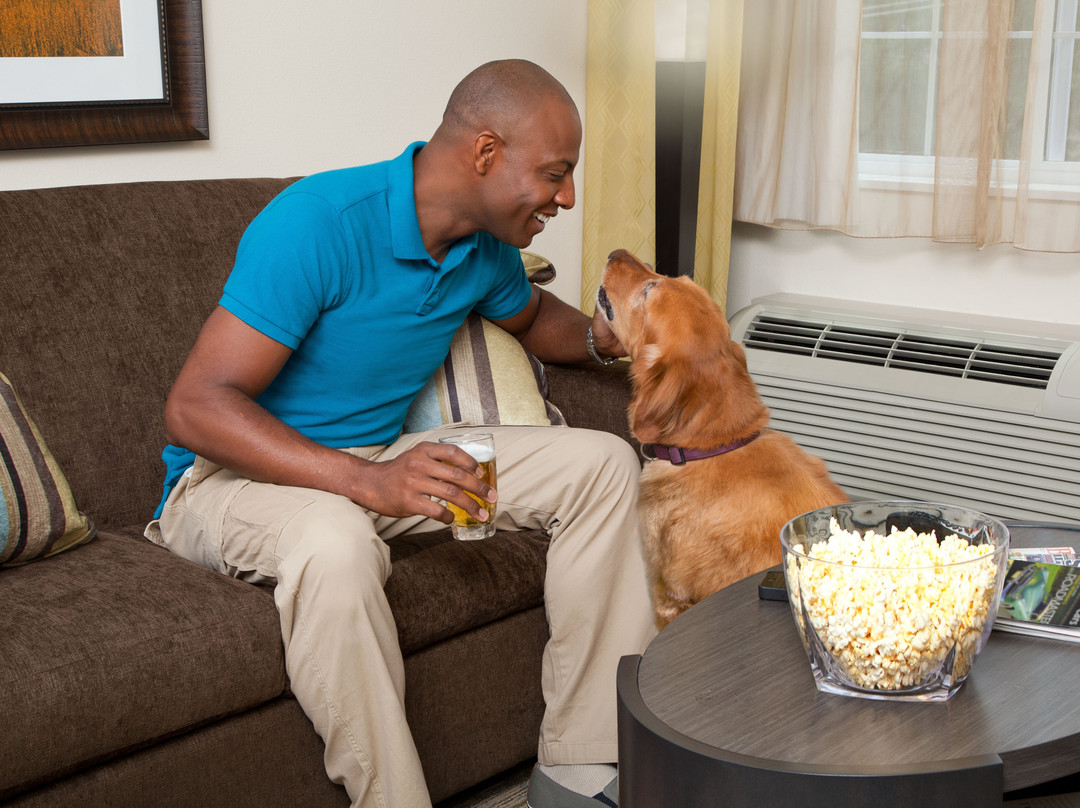 Candlewood Suites North Little Rock by IHG主图