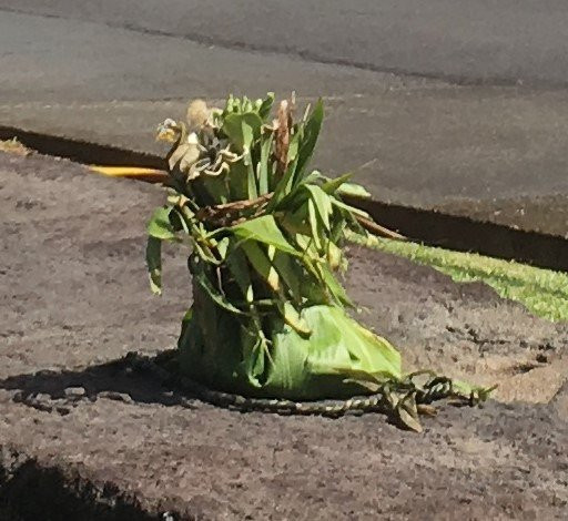 那哈大石-希洛必去景点