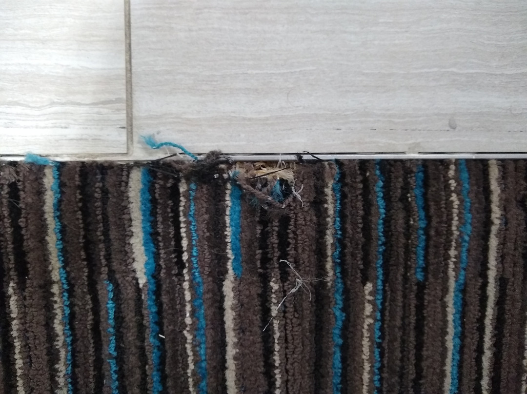 Comfort Inn & Suites主图