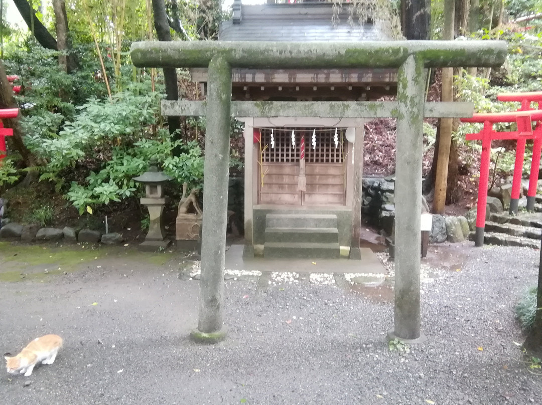 Shirasasainari Shrine-秦野市必去景点