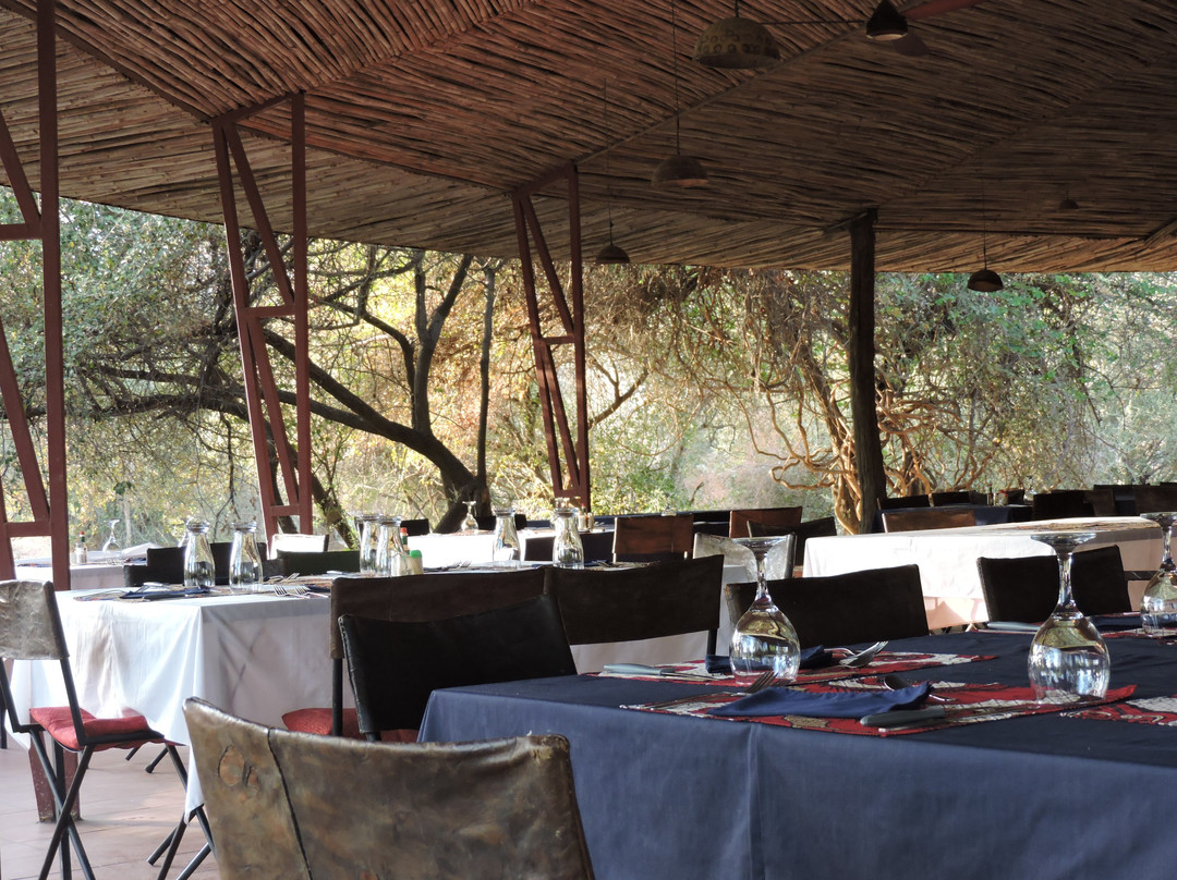 Zakouma National Park-乍得必去景点