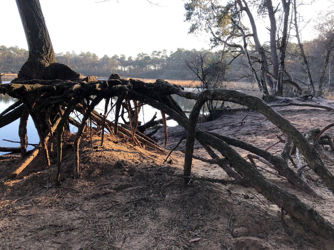 Hatertse En Overasseltse Vennen-Overasselt必去景点