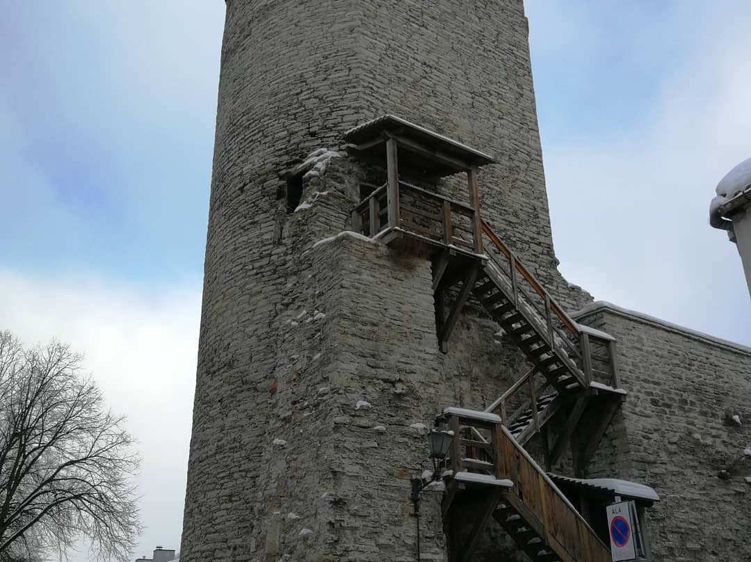 Tallinn Private Tour Guide-塔林必去景点