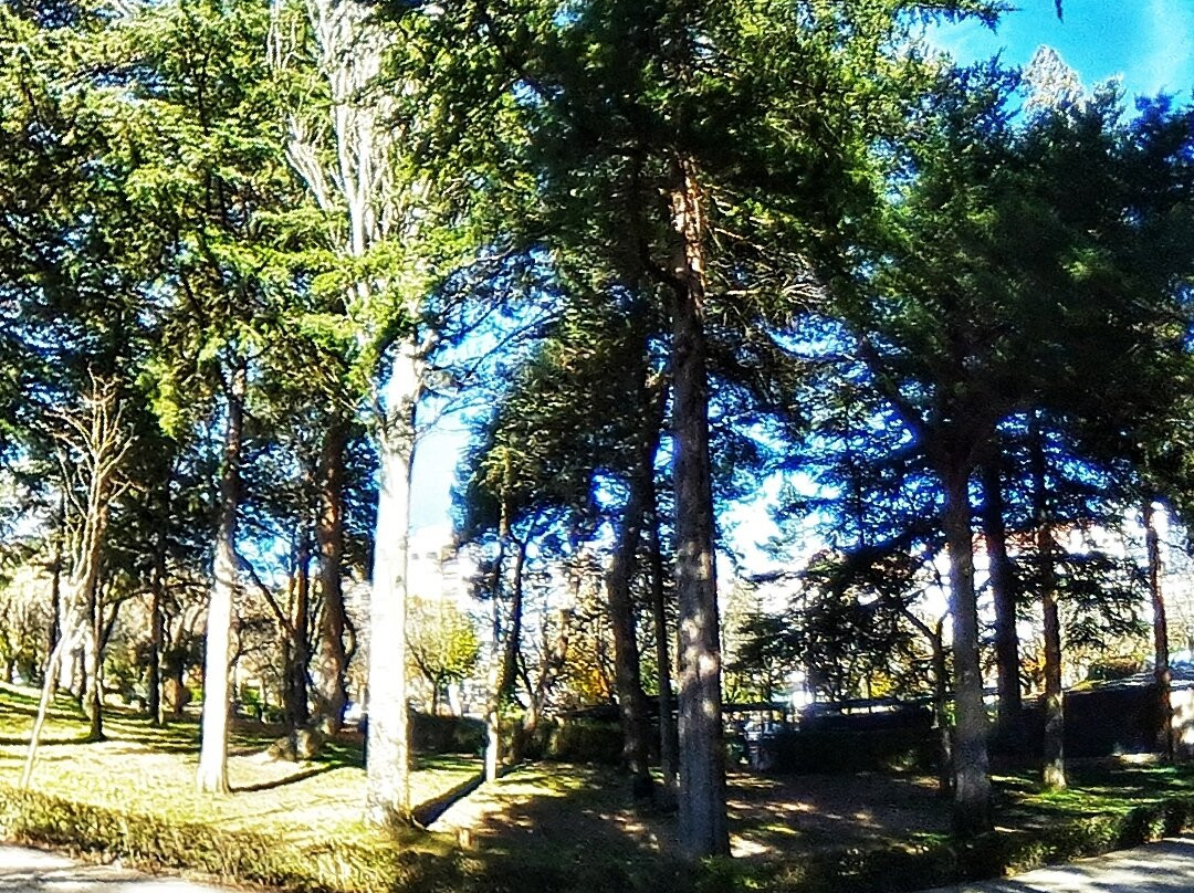 Parque-Alameda de Cervantes景点图片