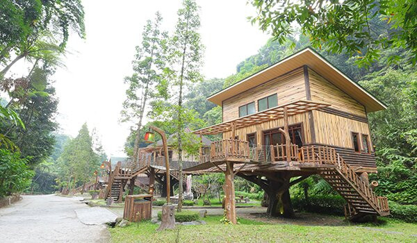 Safari Resort