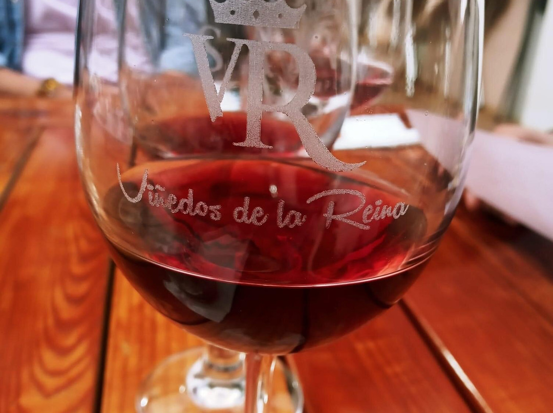 Viñedos de la Reina景点图片