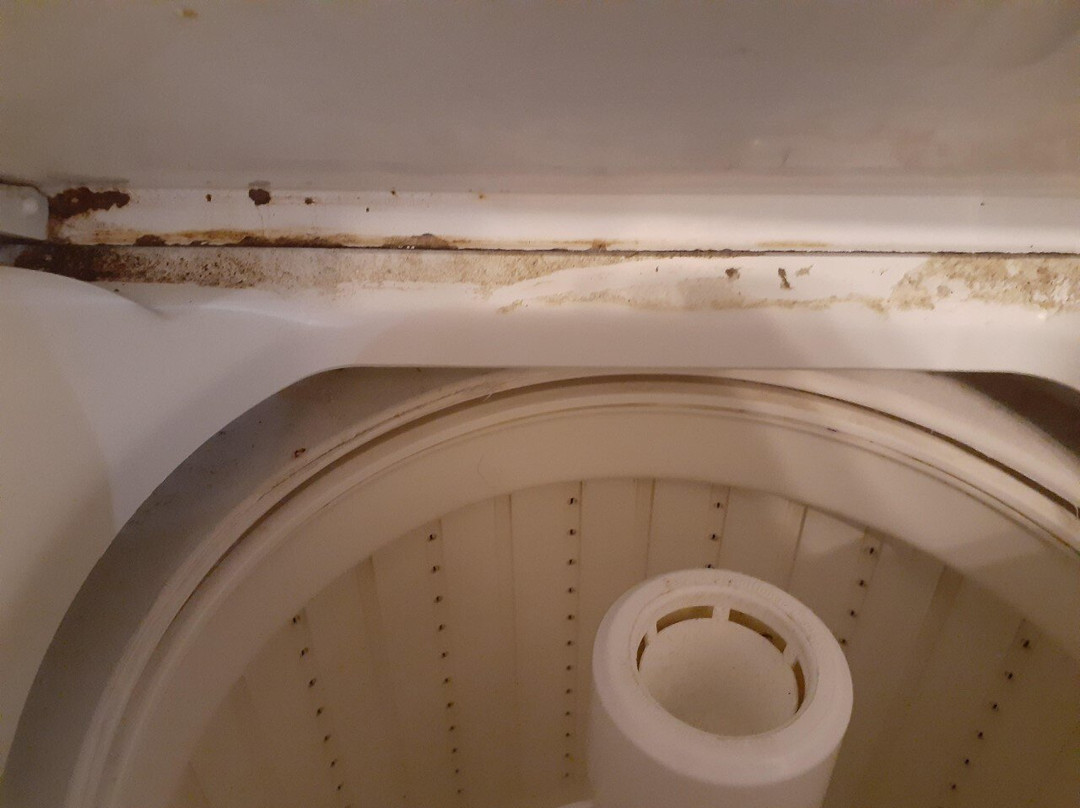 Cairns Reef Apartment & Motel主图