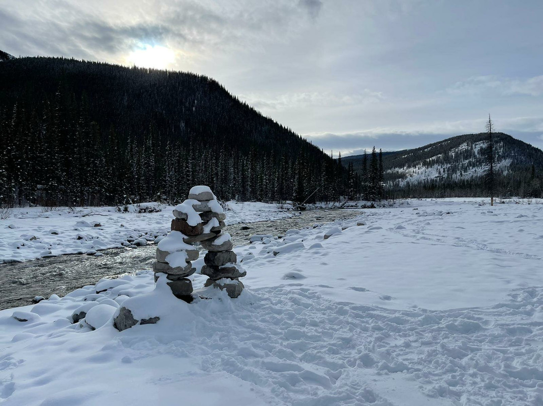 Elbow Falls Provincial Recreation Area景点图片