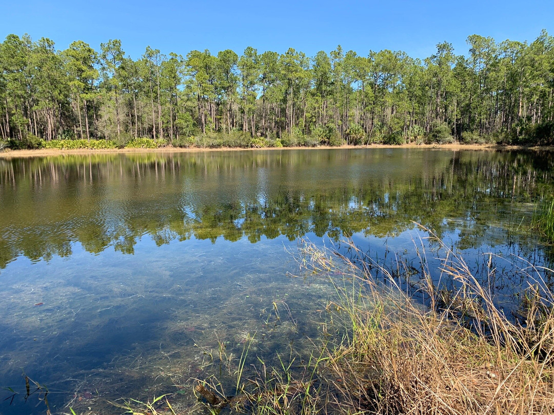 Flatwoods Wilderness Park景点图片