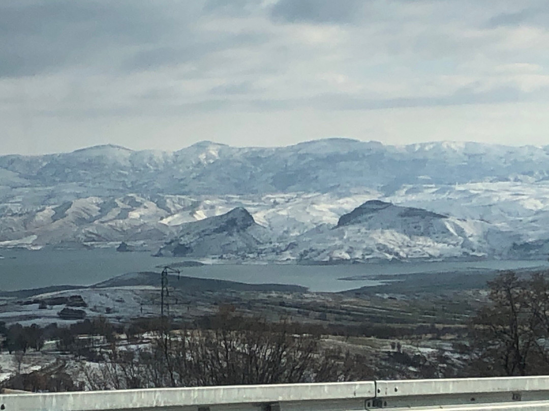 Pertek Belediyesi Feribotu景点图片
