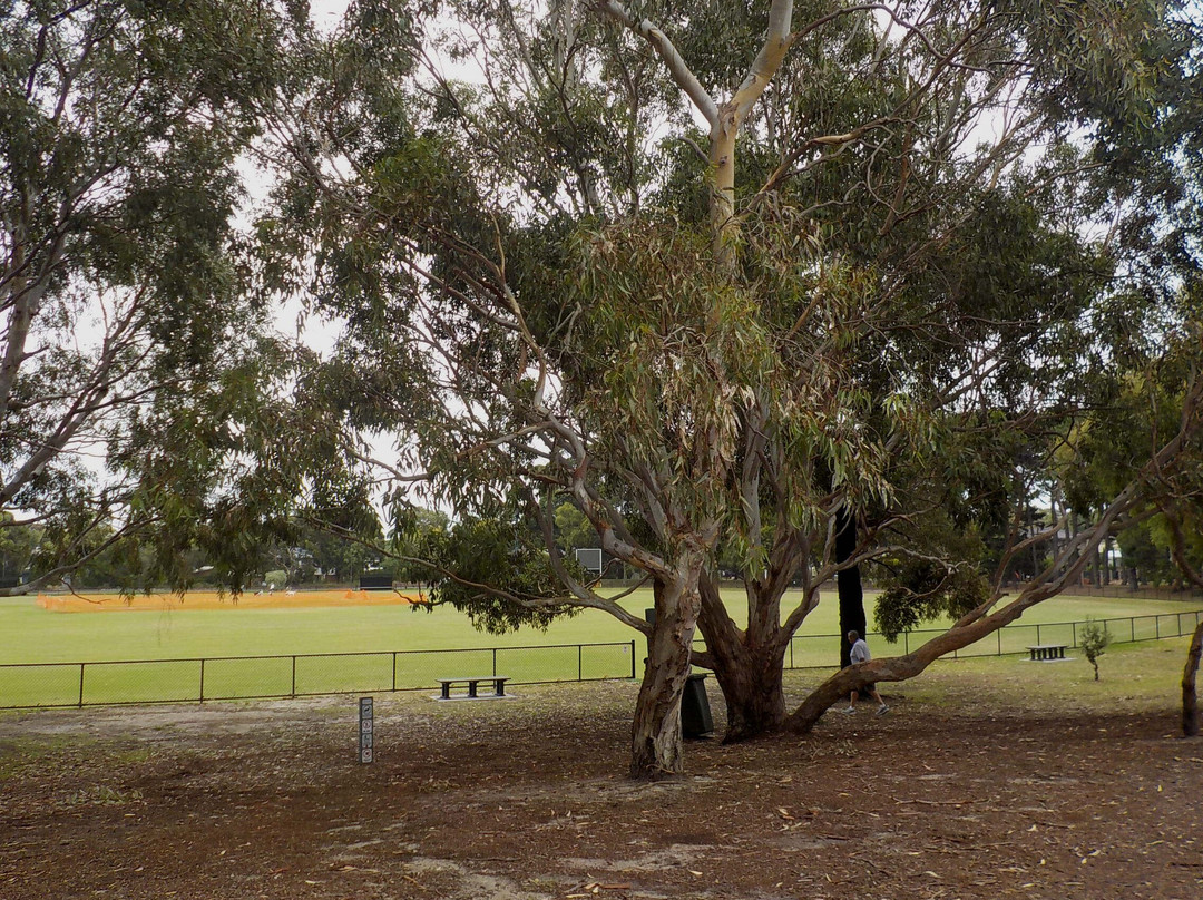 Banksia Reserve景点图片