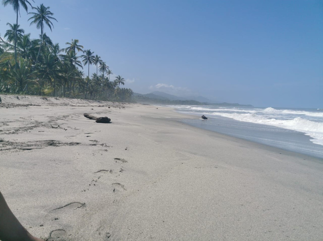 Viajero Hostel Tayrona & Ecohabs主图