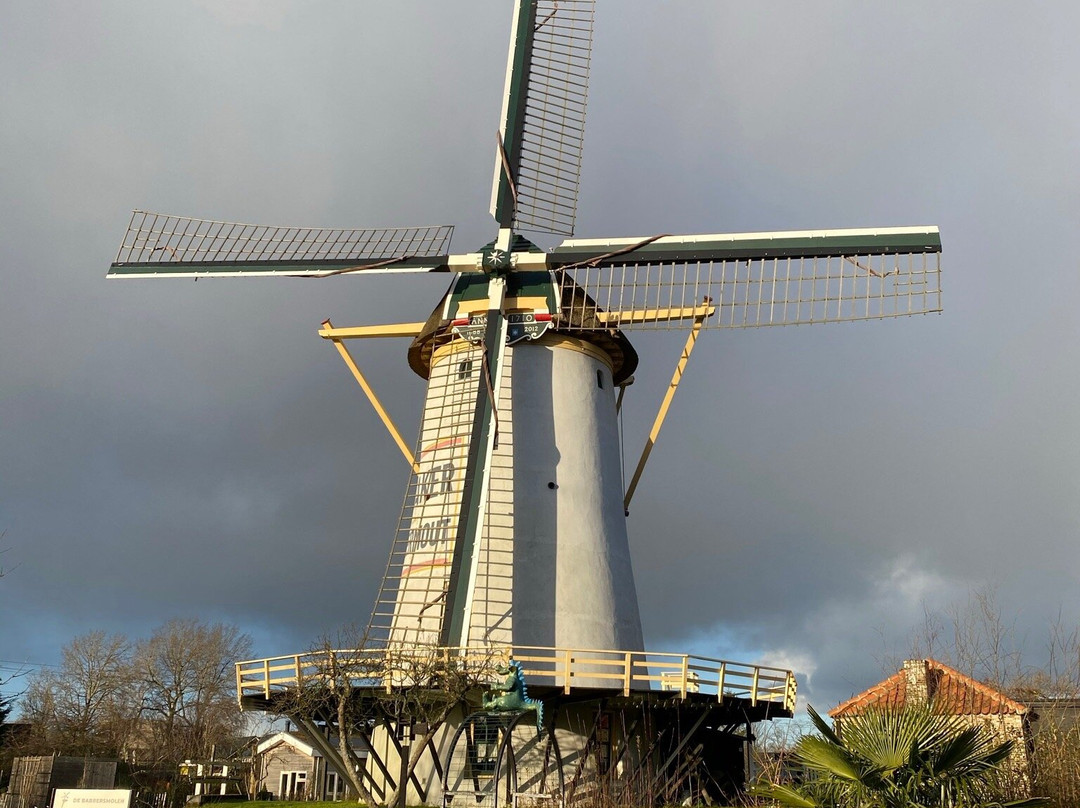 Schiedam Windmills景点图片